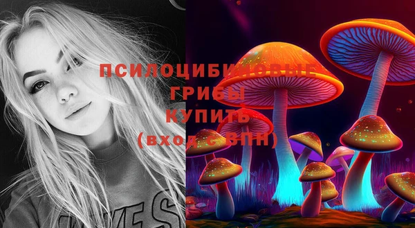 таблы Новодвинск