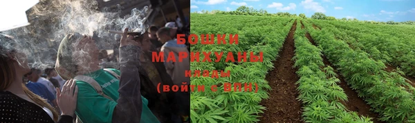дистиллят марихуана Новокубанск